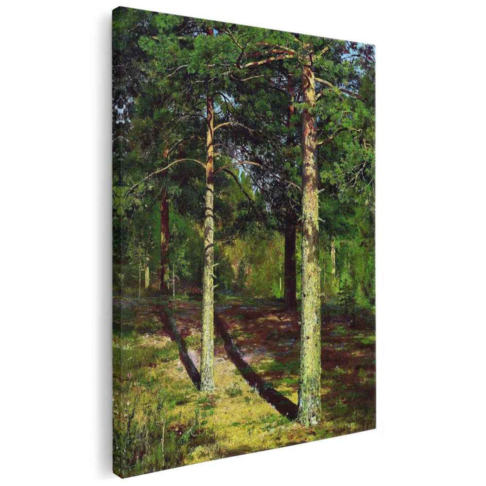 The Sun lit Pines (1886) by Ivan Shishkin
