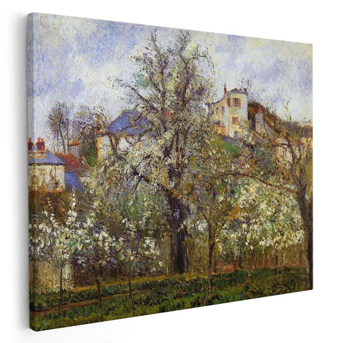 The Vegetable Garden with Trees in Blossom, Spring, Pontoise by Camille Pissarro