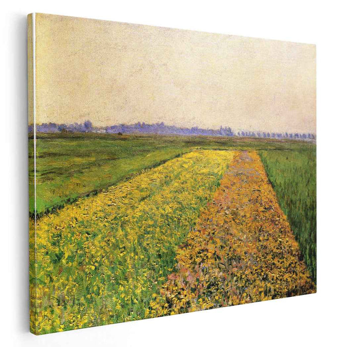 The Yellow Fields at Gennevilliers (1884) by Gustave Caillebotte