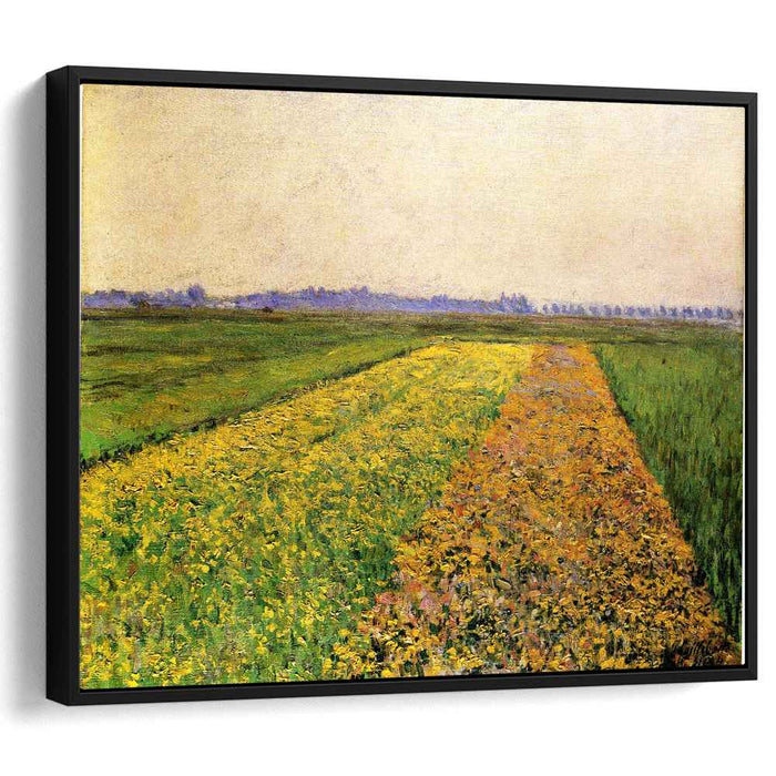 The Yellow Fields at Gennevilliers (1884) by Gustave Caillebotte
