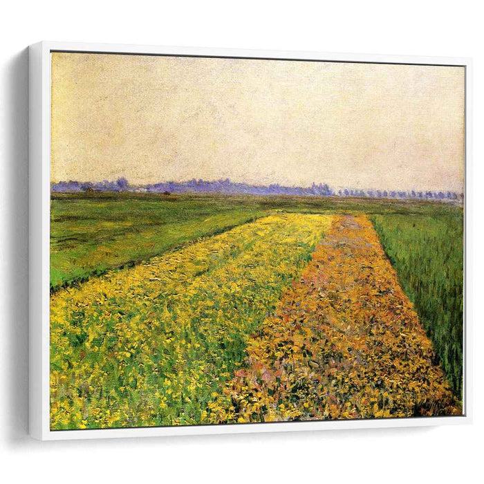 The Yellow Fields at Gennevilliers (1884) by Gustave Caillebotte