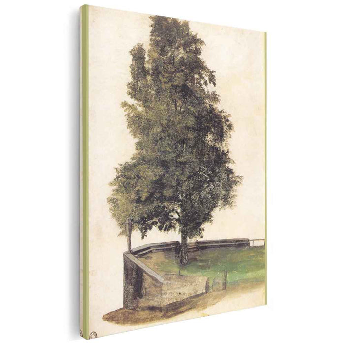 Tilo on the cantilever of a bastion (1494) by Albrecht Durer