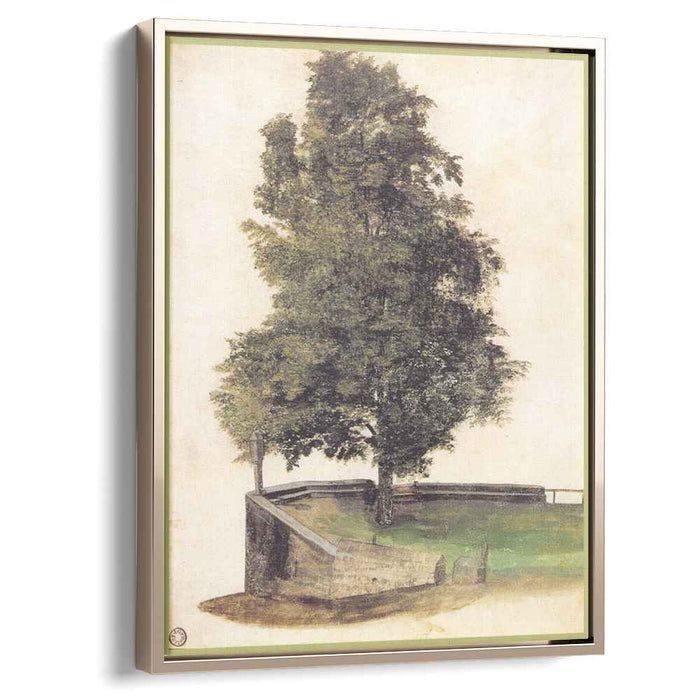 Tilo on the cantilever of a bastion (1494) by Albrecht Durer