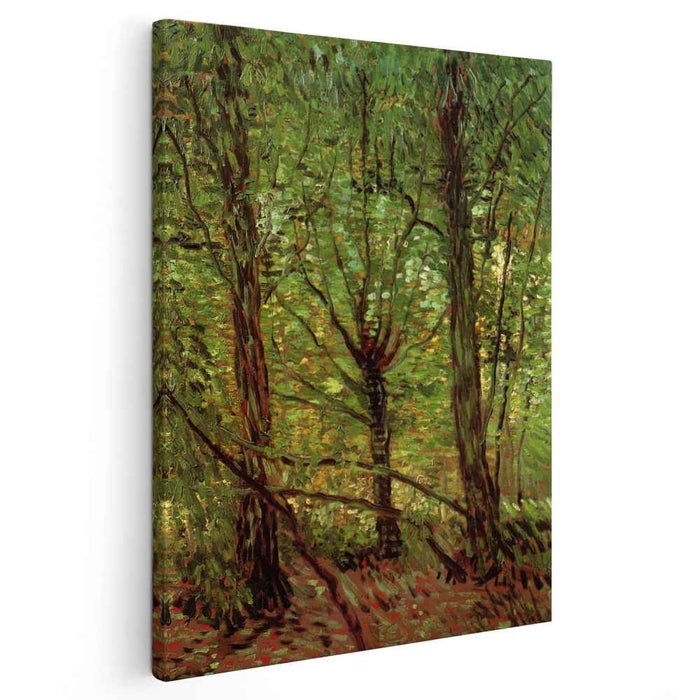 Trees and Undergrowth (1887) by Vincent van Gogh