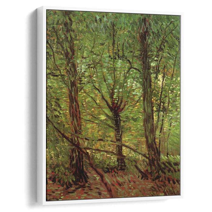 Trees and Undergrowth (1887) by Vincent van Gogh