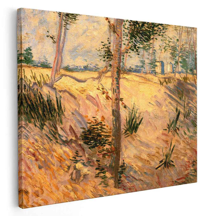 Trees in a Field on a Sunny Day (1887) by Vincent van Gogh