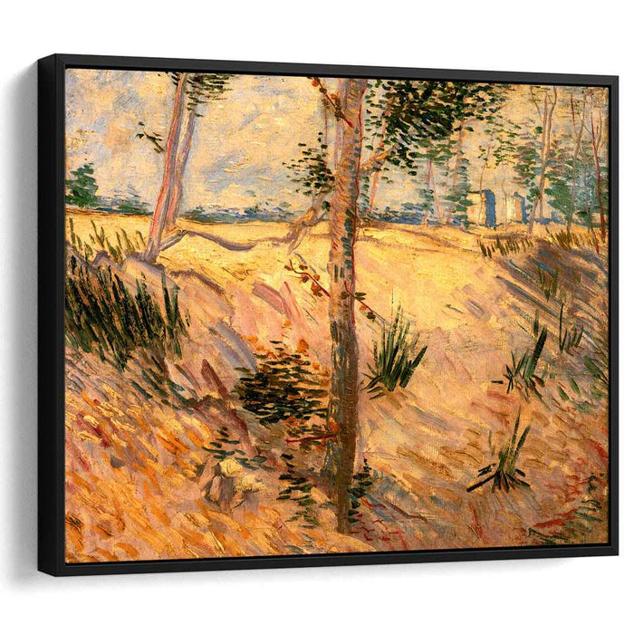 Trees in a Field on a Sunny Day (1887) by Vincent van Gogh