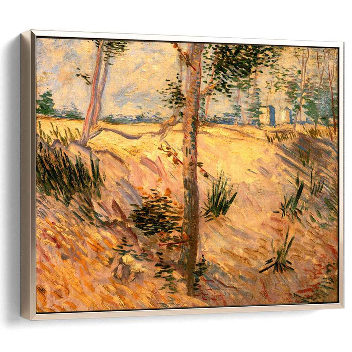 Trees in a Field on a Sunny Day (1887) by Vincent van Gogh