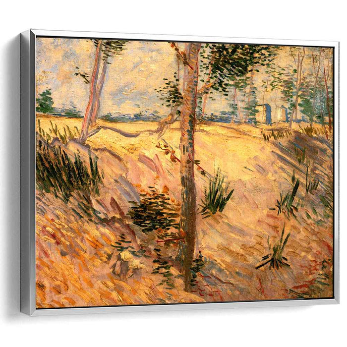 Trees in a Field on a Sunny Day (1887) by Vincent van Gogh