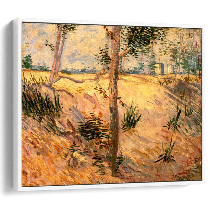 Trees in a Field on a Sunny Day (1887) by Vincent van Gogh