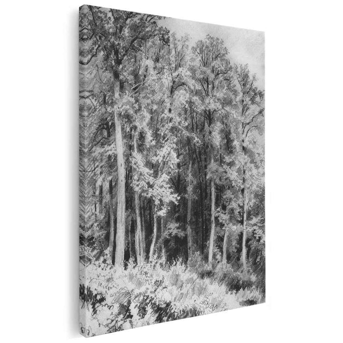 Trees. Kozlovka-Zaseka (1873) by Ivan Shishkin