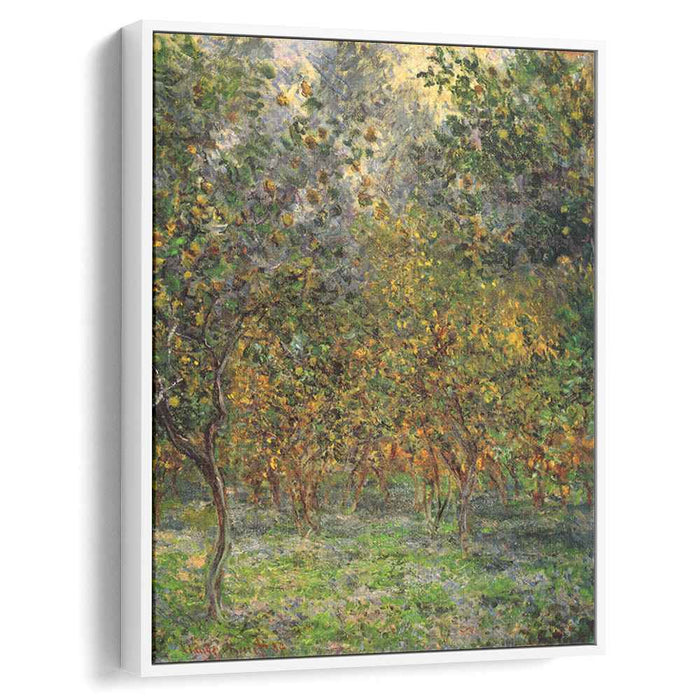Under the Lemon Trees (1884) by Claude Monet
