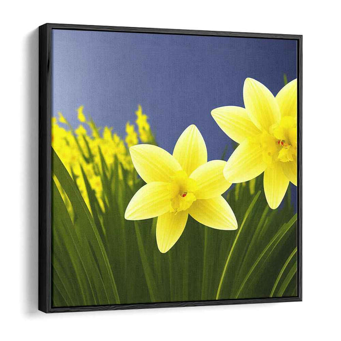 Daffodils Illustration #003