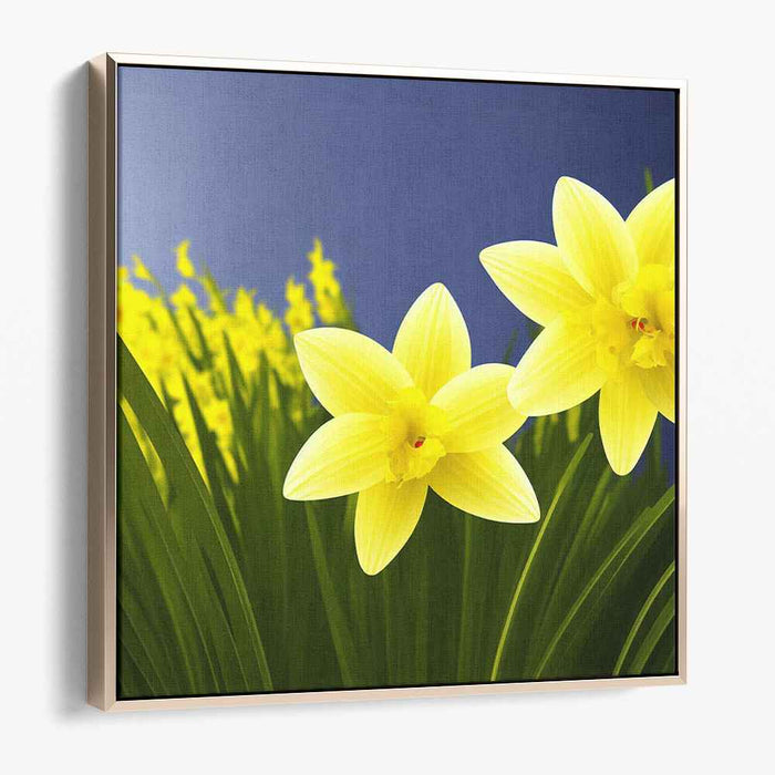 Daffodils Illustration #003
