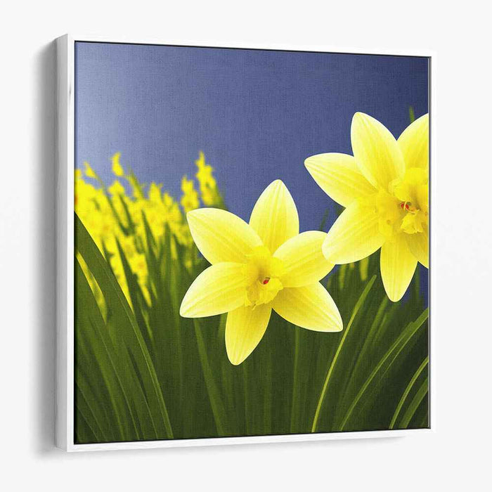 Daffodils Illustration #003