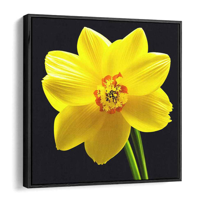 Vivid Petal Illusion: Hyperrealistic Yellow Daffodil on Canvas