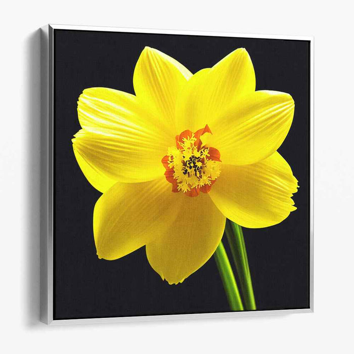 Vivid Petal Illusion: Hyperrealistic Yellow Daffodil on Canvas