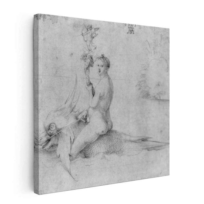 Venus on a dolphin (1503) by Albrecht Durer
