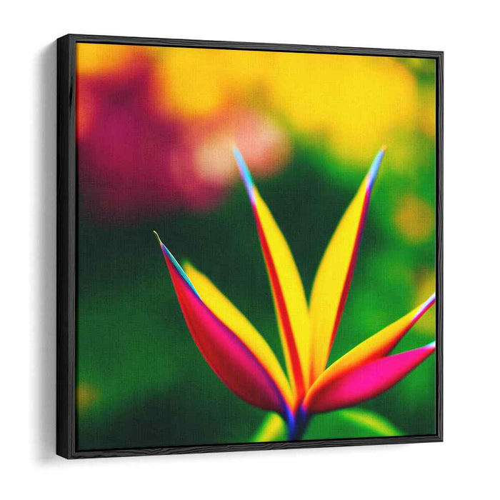 Vintage Birds of Paradise #001