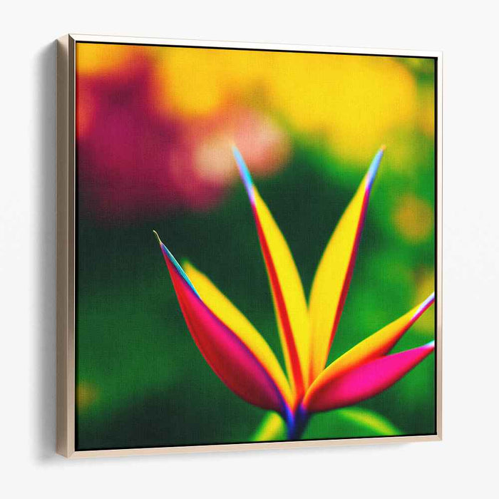 Vintage Birds of Paradise #001