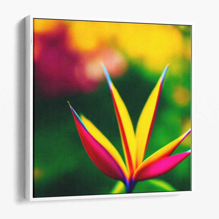 Vintage Birds of Paradise #001