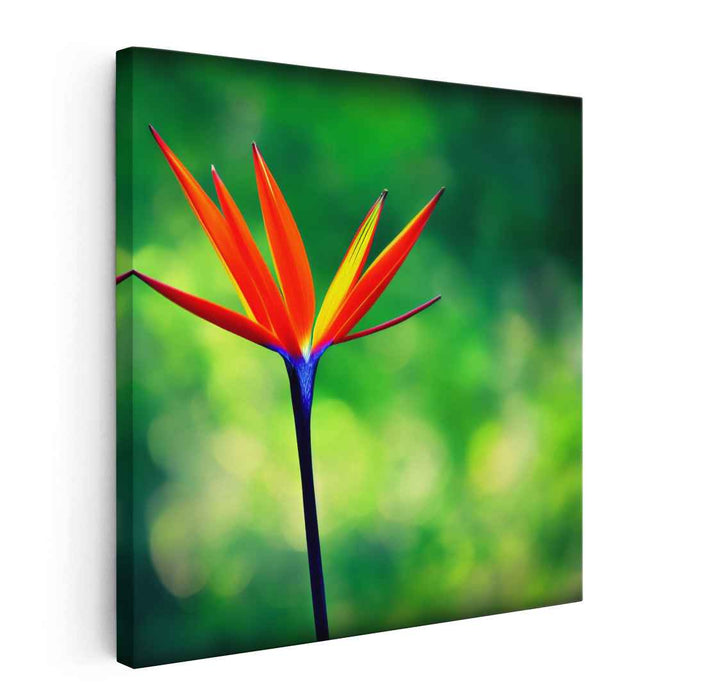 Feathers Of Perfection: Hyper-Realistic Bird of Paradise Flower Canvas Art Print
