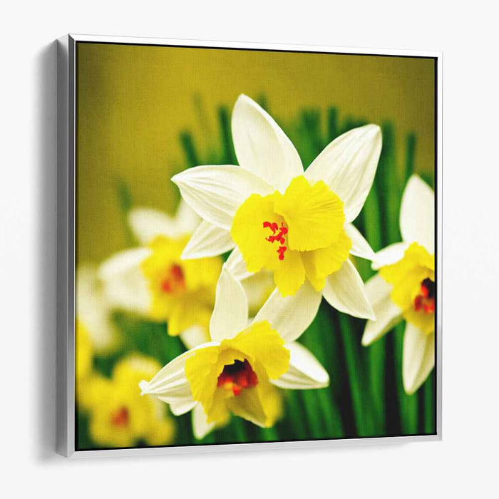 Sunshine Bloom Study: Photorealistic Daffodil Delight Canvas Art Print