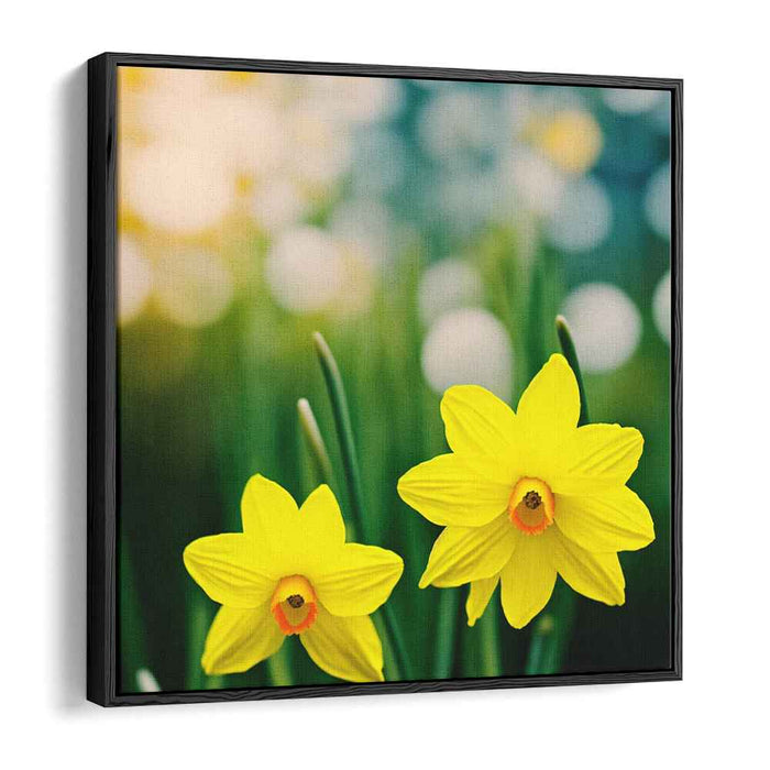Vintage Daffodils #005
