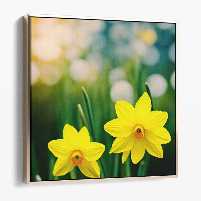 Vintage Daffodils #005