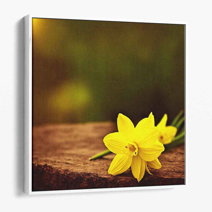 Sunlit Memories: Realistic Yellow Daffodils on Rustic Wood Canvas Art Print