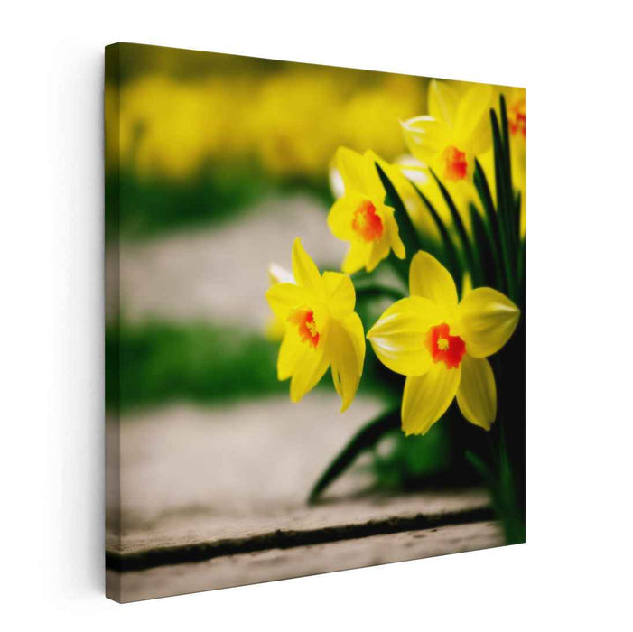 Radiant Spring Daffodils: Hyper-Realistic Floral Canvas Art Print