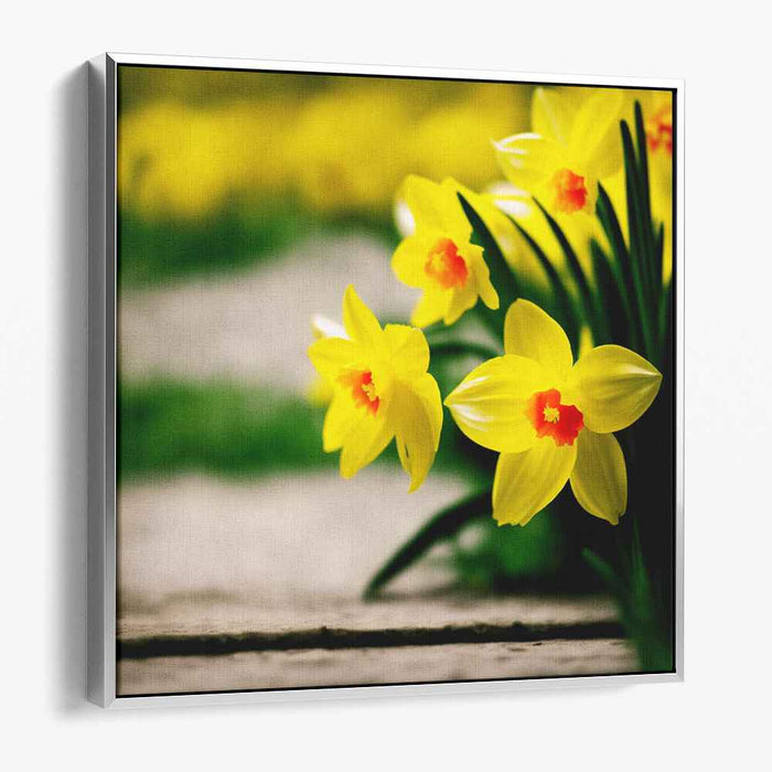 Radiant Spring Daffodils: Hyper-Realistic Floral Canvas Art Print