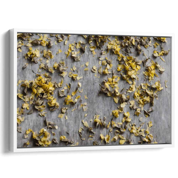 Golden Petal Cascade: Minimalist Nature Photography Print