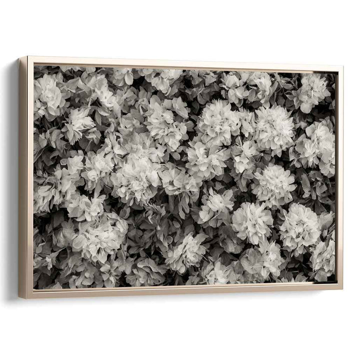 Inked Petal Symphony: Monochrome Floral Canvas Art