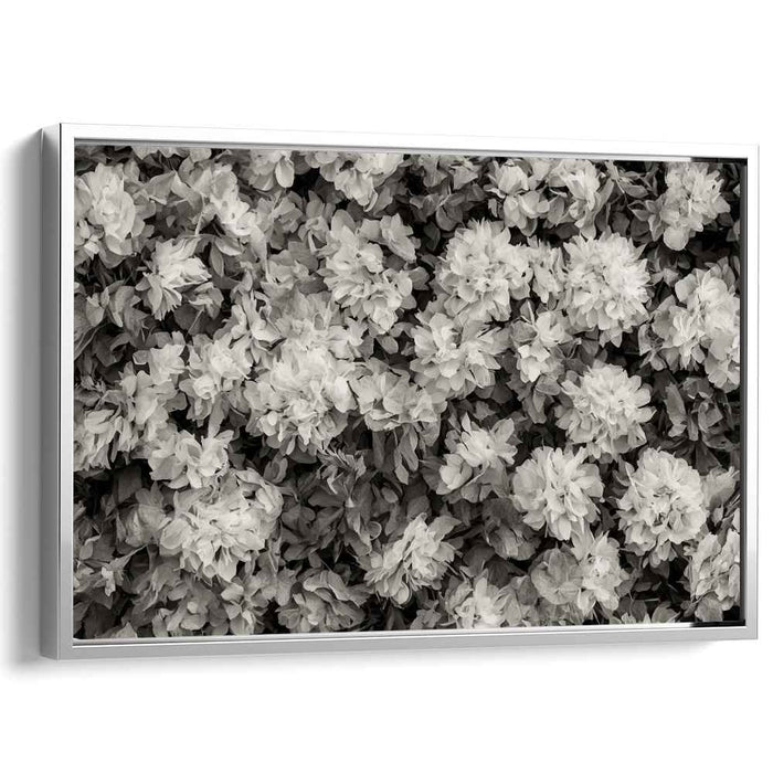 Inked Petal Symphony: Monochrome Floral Canvas Art