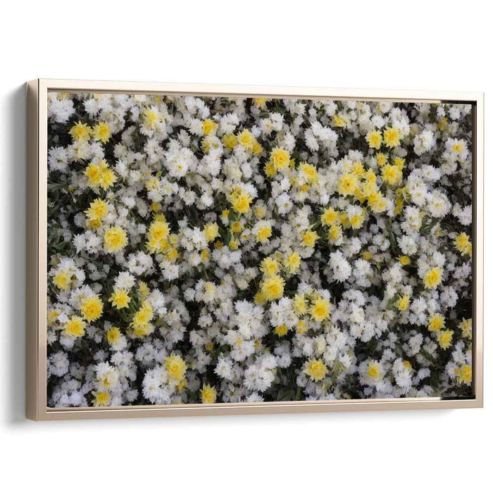 Vintage Daffodils #106