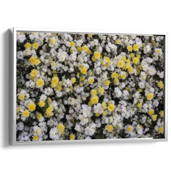 Vintage Daffodils #106