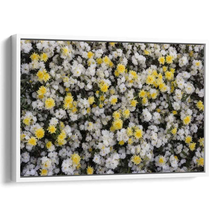 Vintage Daffodils #106