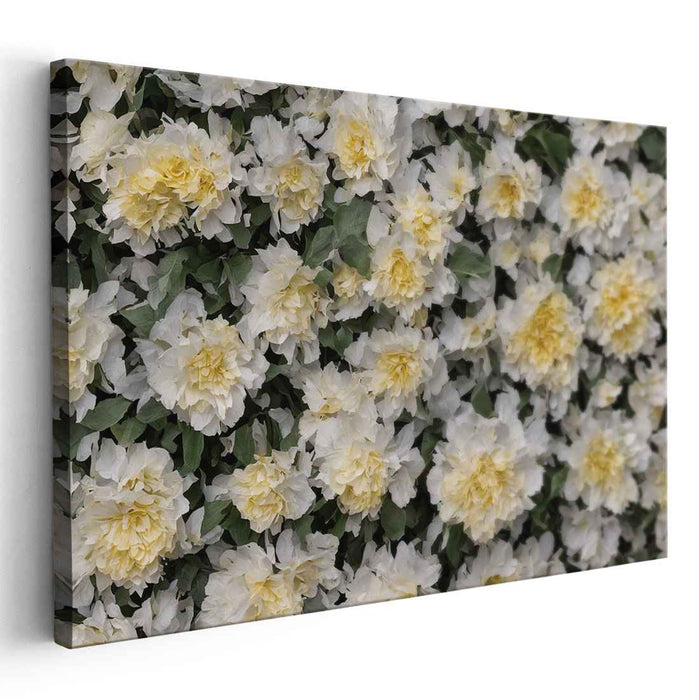 Vintage Daffodils #108