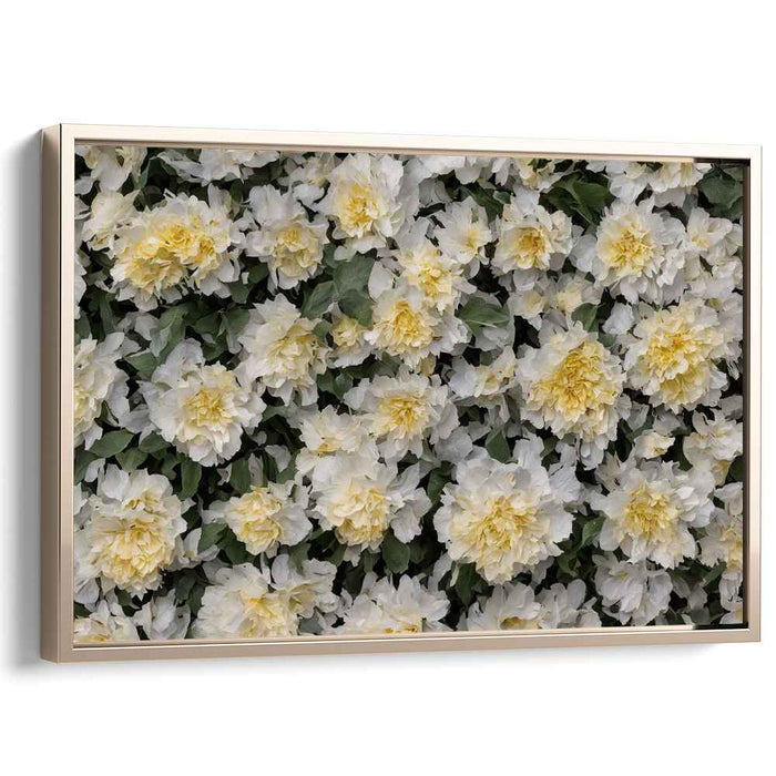 Vintage Daffodils #108