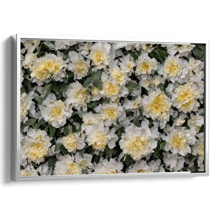 Vintage Daffodils #108