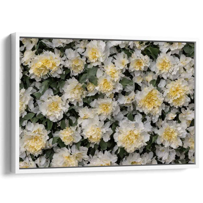 Vintage Daffodils #108