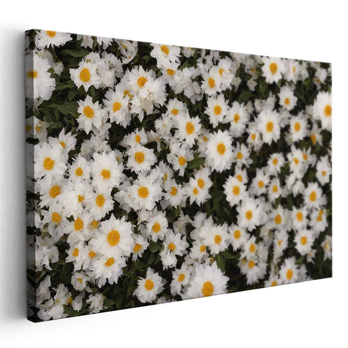 Vintage Daffodils #109