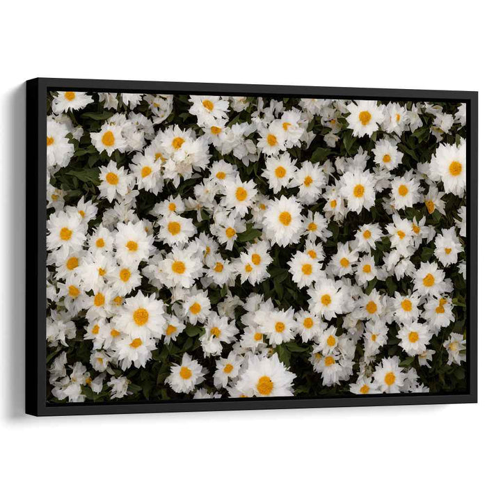 Vintage Daffodils #109