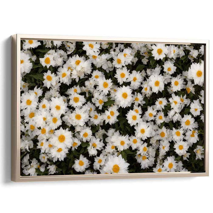 Vintage Daffodils #109