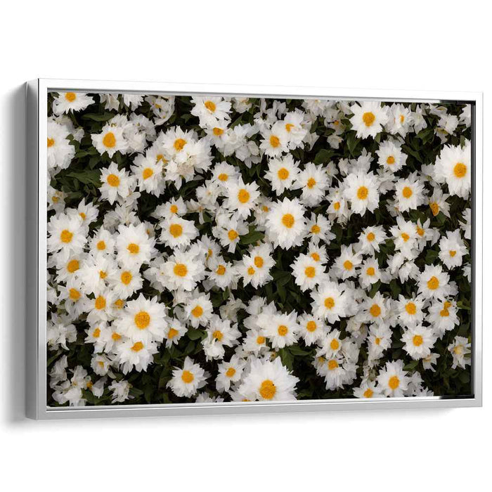 Vintage Daffodils #109