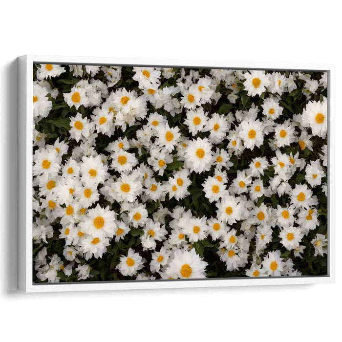 Vintage Daffodils #109