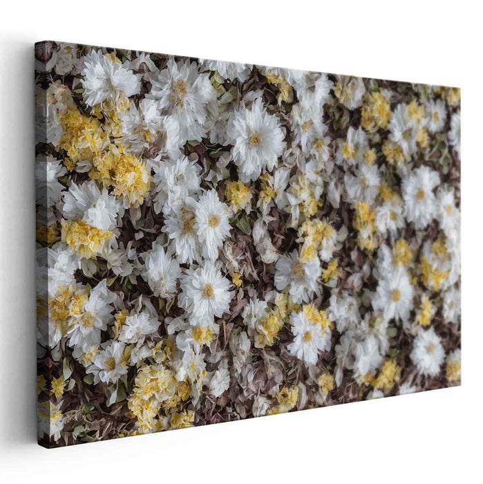 Vintage Daffodils #114