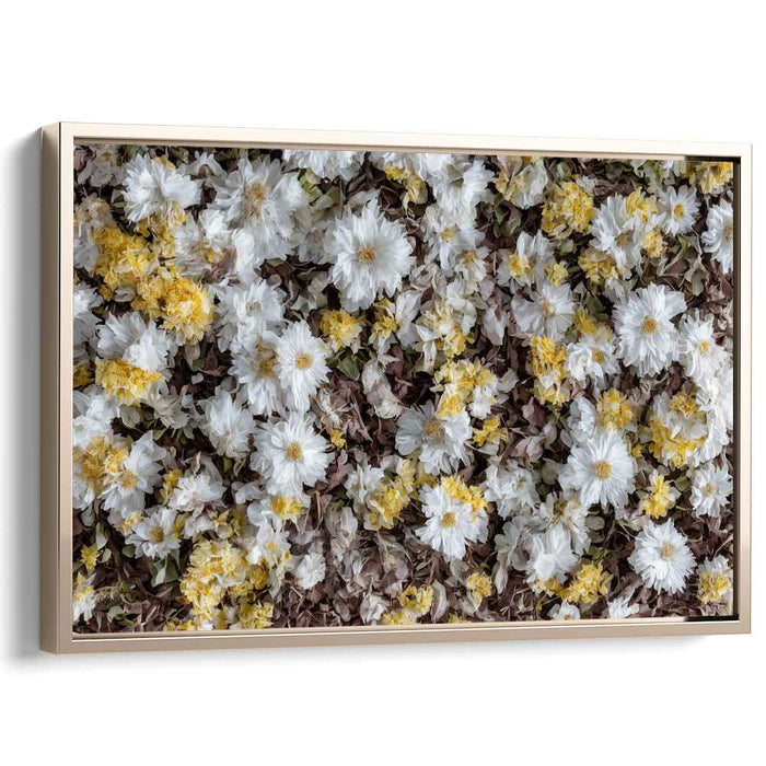 Vintage Daffodils #114