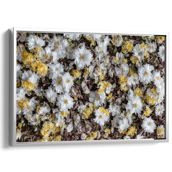 Vintage Daffodils #114